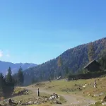Koenigsreiner