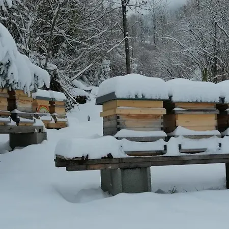 Penzion Koenigsreiner