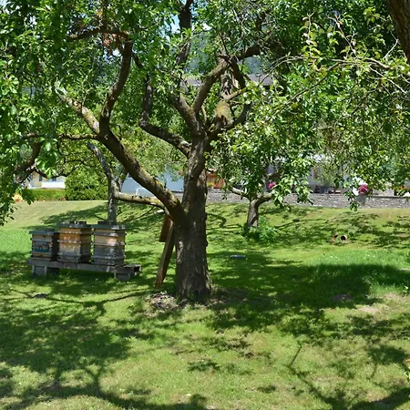 Koenigsreiner Penzion