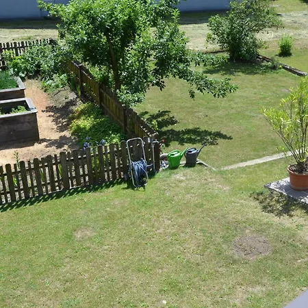 Koenigsreiner 3*