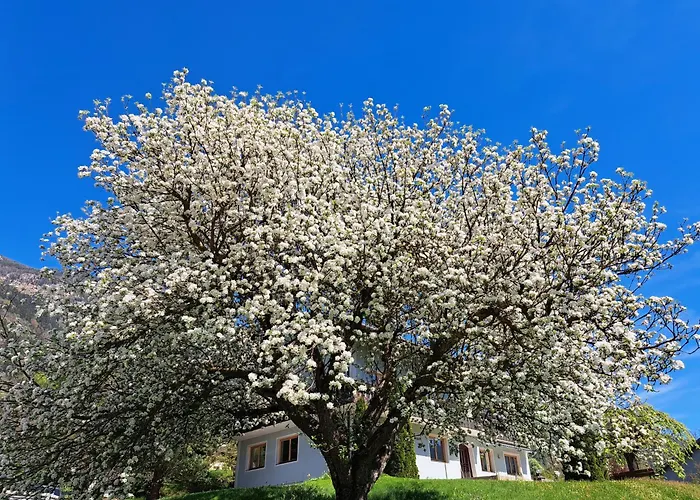 بيت ضيافة Koenigsreiner Unterkolbnitz