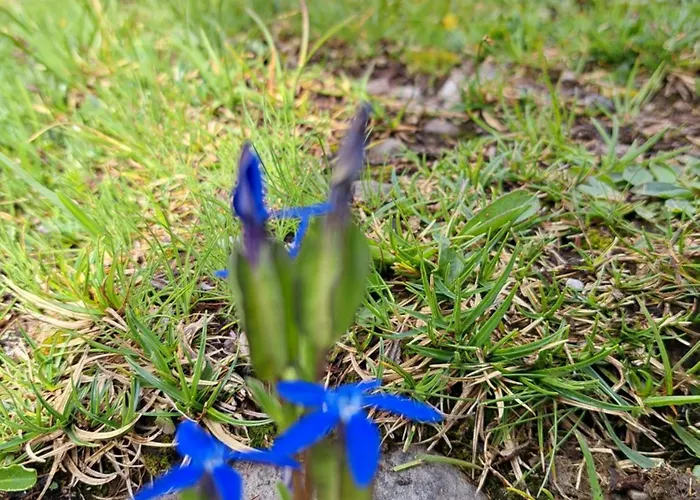 Koenigsreiner بيت ضيافة