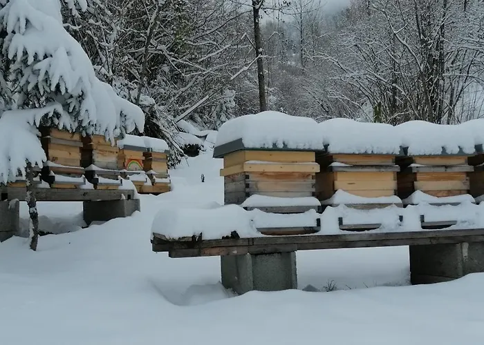 بيت ضيافة Koenigsreiner