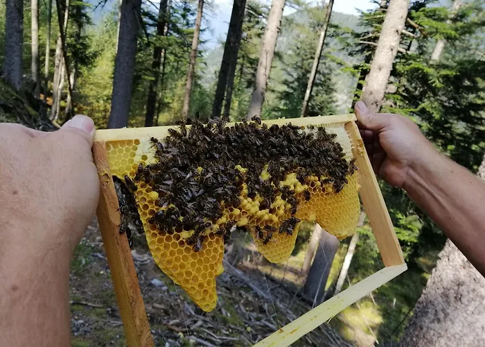 Affittacamere Koenigsreiner