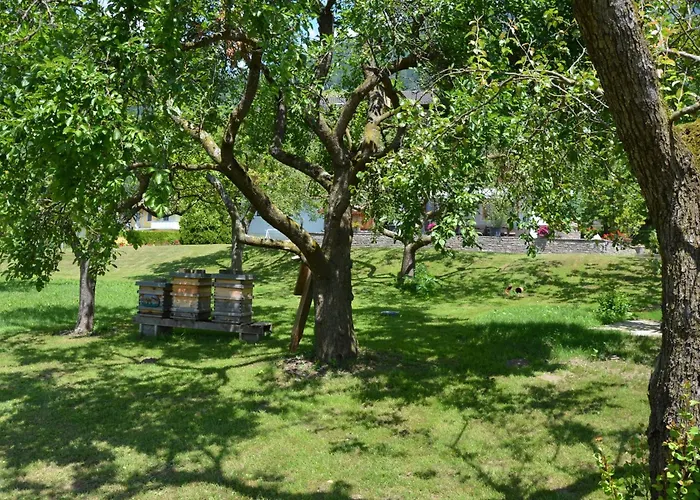 Koenigsreiner بيت ضيافة