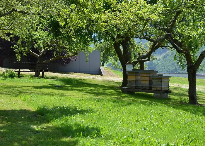 Affittacamere Koenigsreiner 3*